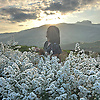 arunsawad_31320
