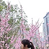 user_478525