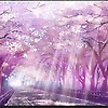 Lis_R