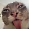 ali_46352