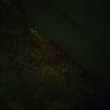 johnw_99554
