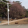 LuluZeng