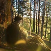 mhmoud_20807