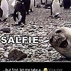 sam_88082