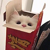 user_547370