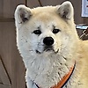 anna_94319