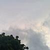 abdi_13081