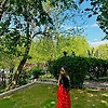 sarakurdkurd