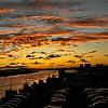 reni_88402