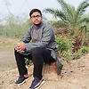 tamjid