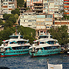 nadim_47321