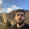 achraf_34082