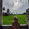 aim_69175