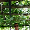 alper_13160