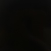salmara_76531