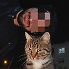 ilovecats_86117