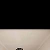 karlina_89235