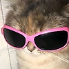 user_167759