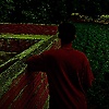salem_29643
