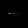 pal_17527
