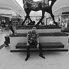 carlosrich_51005