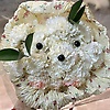 lily_24822