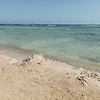 jana_12020