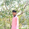 lison_54008