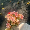 ilham_31655
