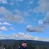 tom_94638