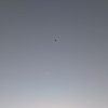 t_43990