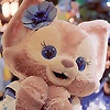 liu_66002