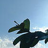 nisa_0611