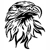 Lion63310