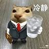 mina_88464