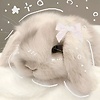 selenophil_69370
