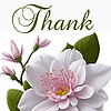 almira_92063