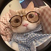 kay_25584
