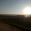 adelhydro_98557