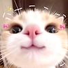 priyanshi_28866
