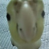 melek_50135