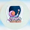 noha_71547