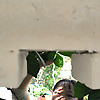 xin_68033