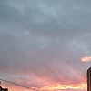 anna_49839