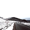 hamza_14975