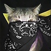 leeemoonnv_43344