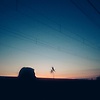 fdlyhrhmh_47679