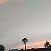 angelise_85216