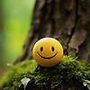 Kims_86584