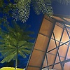 wanda_54253
